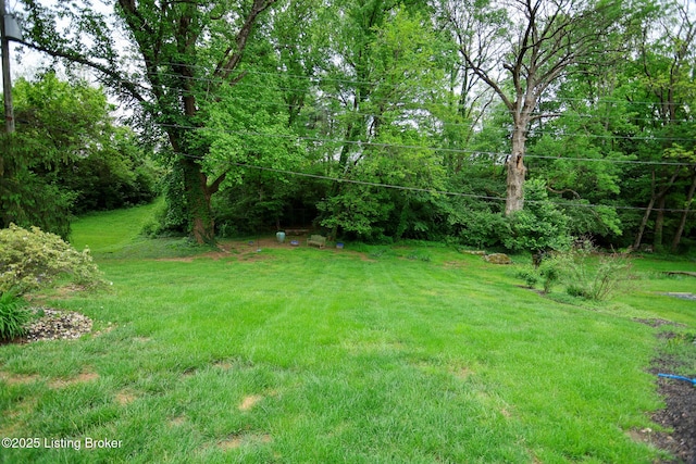 7812 Crown Top Rd, Louisville, KY 40241 - view of green lawn