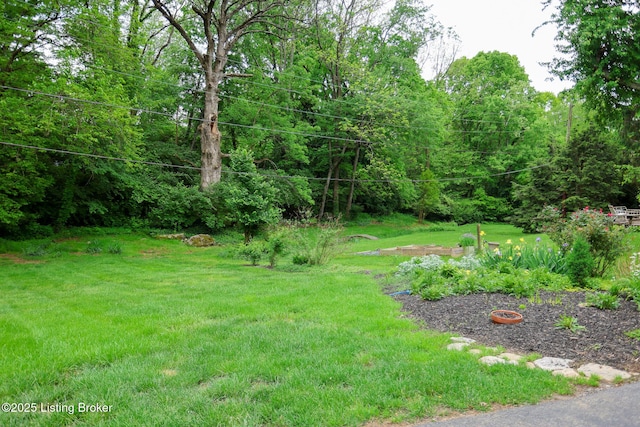 7812 Crown Top Rd, Louisville, KY 40241 - view of green lawn