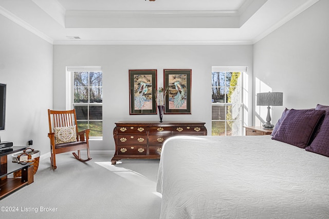 bedroom with a raised ceiling, carpet floors, and crown molding