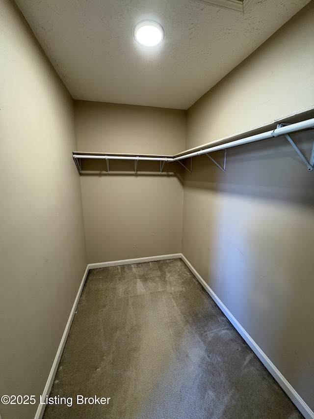 walk in closet featuring carpet flooring
