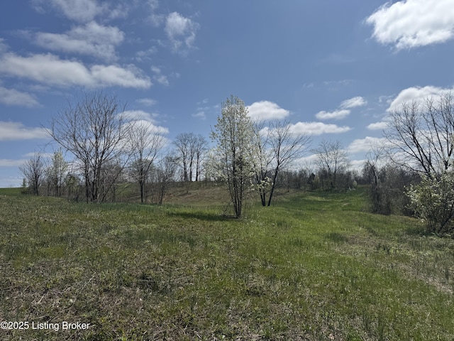 0 Sharon Rd, Ghent, KY 41045 - photo 2