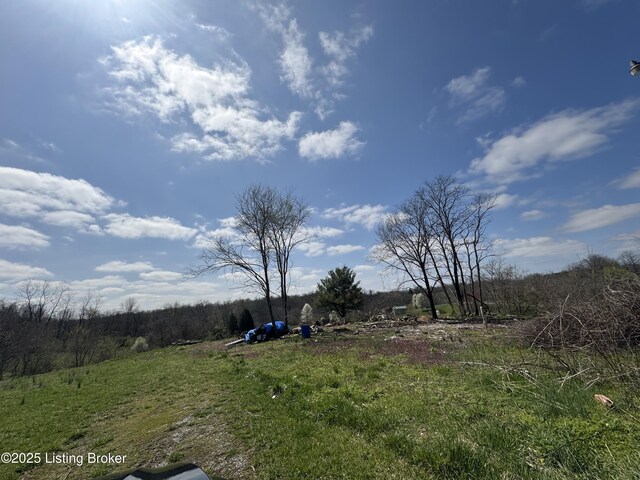 0 Sharon Rd, Ghent, KY 41045 - photo 15