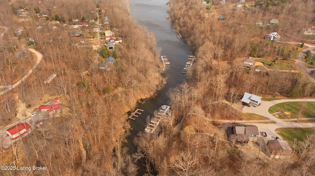 105 Moutardier Woods Way, Leitchfield, KY 42754 - drone / aerial view with a water view