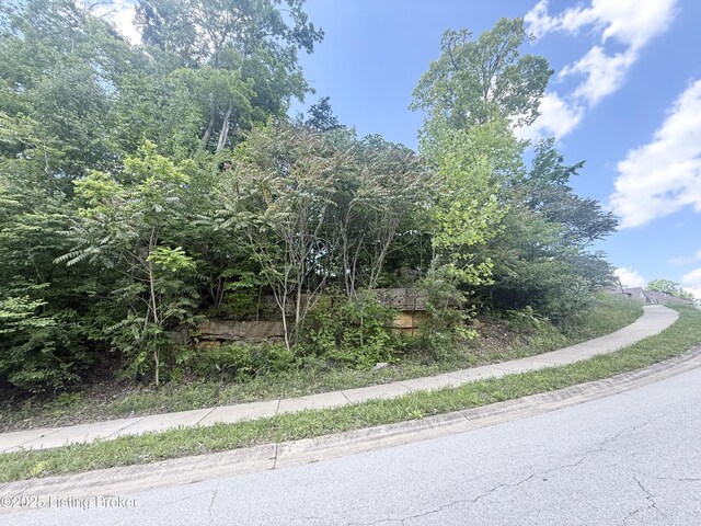 0-LOT60 Bluffs Edge Dr, Mt Washington, KY 40047