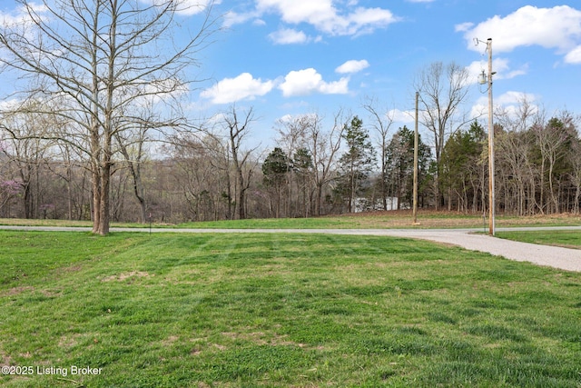3965 Broadford Rd, Clarkson, KY 42726 - view of community with a yard