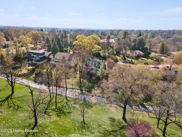 drone / aerial view