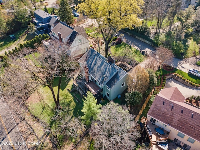 bird's eye view