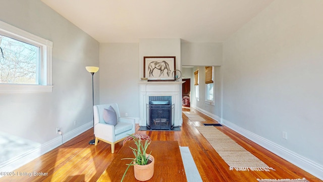 living area with a fireplace with flush hearth, wood finished floors, baseboards, and a wealth of natural light