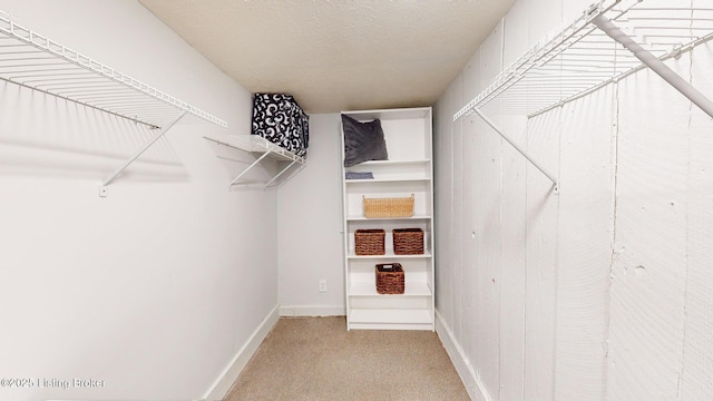 walk in closet featuring light colored carpet