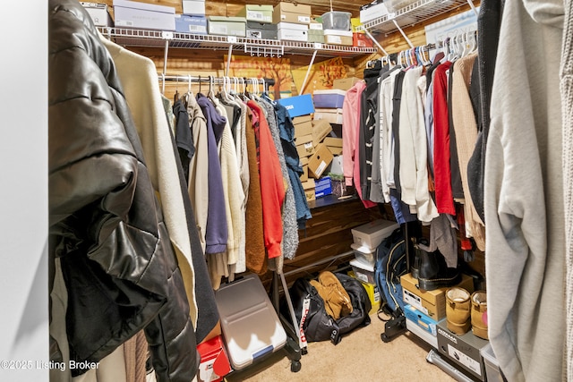 2410 Mammoth Way, Louisville, KY 40299 - walk in closet featuring carpet flooring