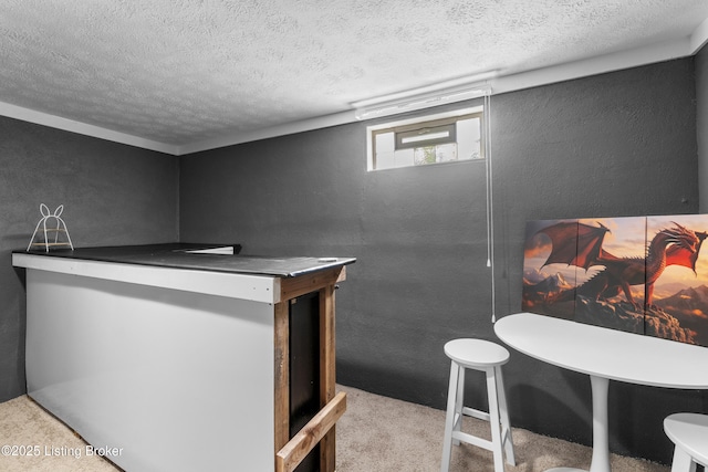 2410 Mammoth Way, Louisville, KY 40299 - bar with a textured ceiling, a textured wall, and carpet flooring