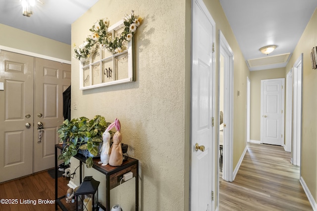 2410 Mammoth Way, Louisville, KY 40299 - entrance foyer featuring baseboards and wood finished floors