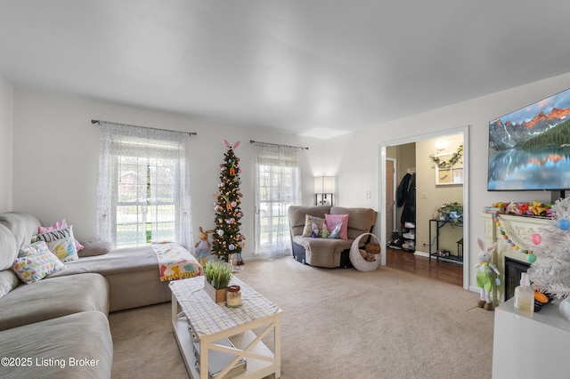 2410 Mammoth Way, Louisville, KY 40299 - living room featuring carpet flooring