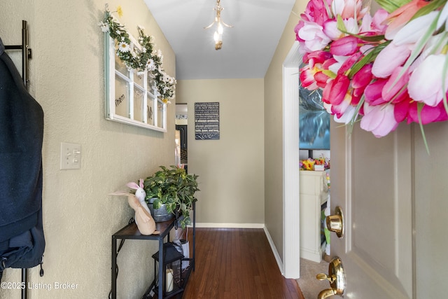 2410 Mammoth Way, Louisville, KY 40299 - hall with baseboards and wood finished floors
