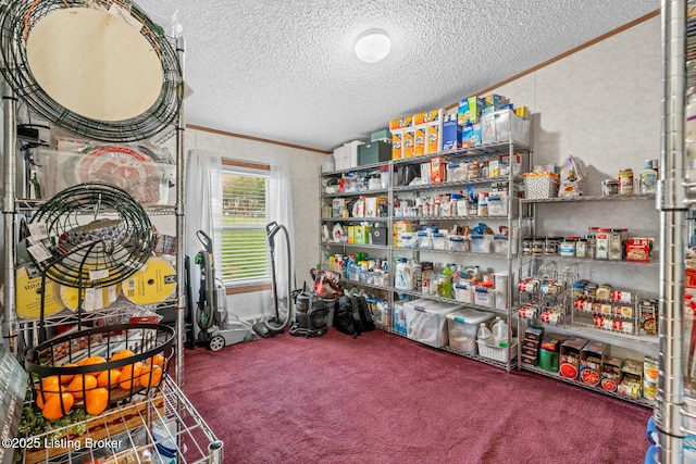 view of storage room