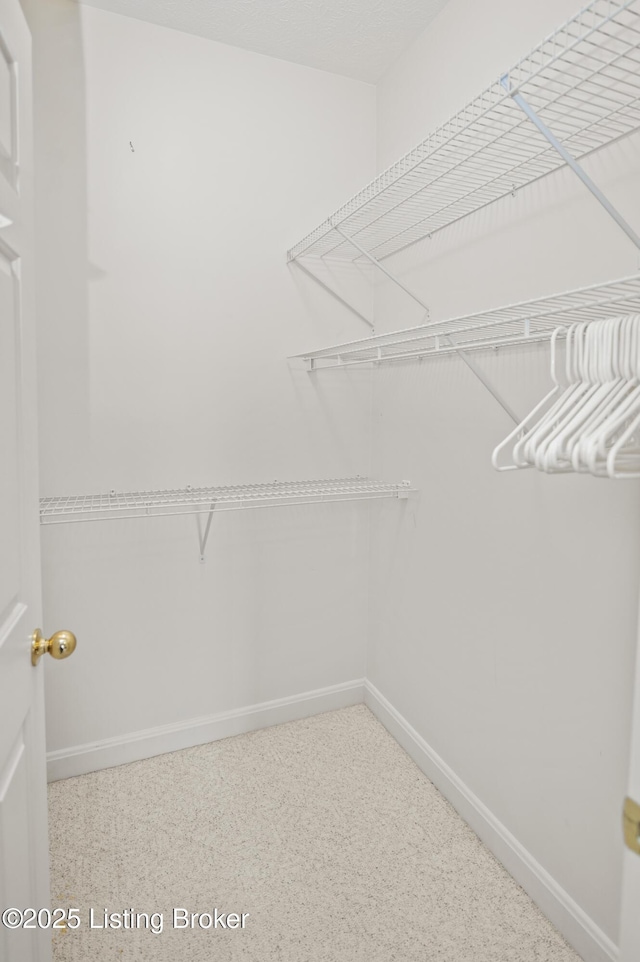 591 Arrowhead Ln, Shepherdsville, KY 40165 - view of spacious closet