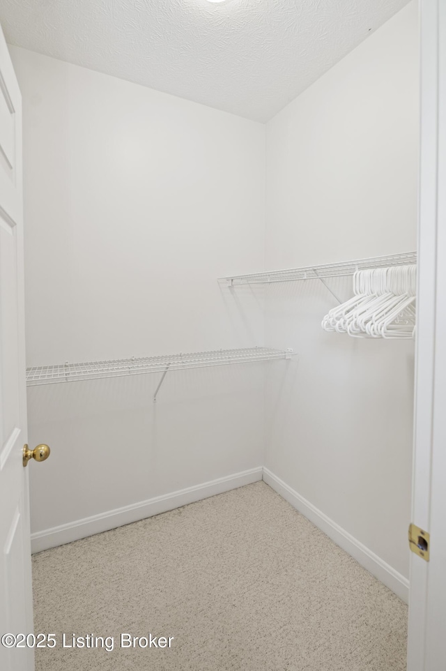 591 Arrowhead Ln, Shepherdsville, KY 40165 - view of spacious closet