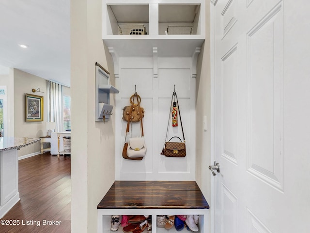 mudroom with dark wood-type flooring