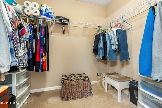 spacious closet featuring carpet flooring