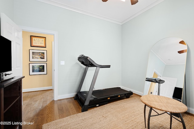 9502 Gerardia Ln, Prospect, KY 40059 - workout area with ornamental molding, wood finished floors, baseboards, and ceiling fan
