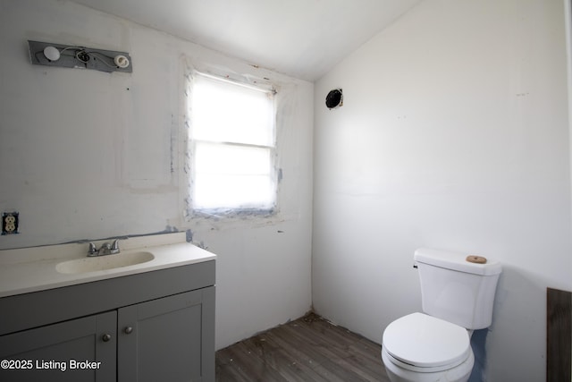 3497 Hundred Acre Pond Rd, Hardyville, KY 42746 - bathroom with lofted ceiling, vanity, toilet, and wood finished floors