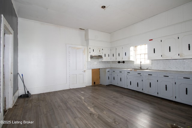 3497 Hundred Acre Pond Rd, Hardyville, KY 42746 - kitchen featuring dark wood finished floors, white cabinets, under cabinet range hood, decorative backsplash, and a sink
