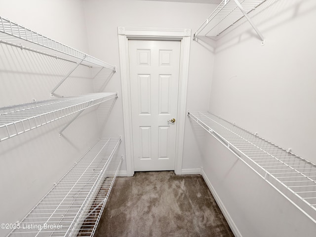 235 Ashford Dr, Mt Washington, KY 40047 - spacious closet featuring carpet floors