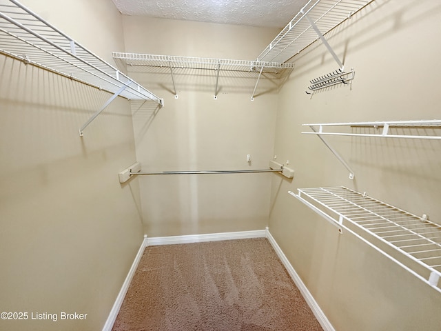 235 Ashford Dr, Mt Washington, KY 40047 - spacious closet featuring carpet flooring