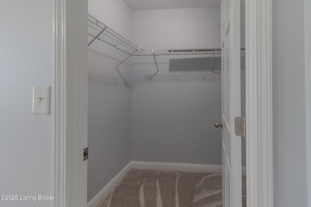 1110 Clark Station Rd, Fisherville, KY 40023 - spacious closet with carpet floors