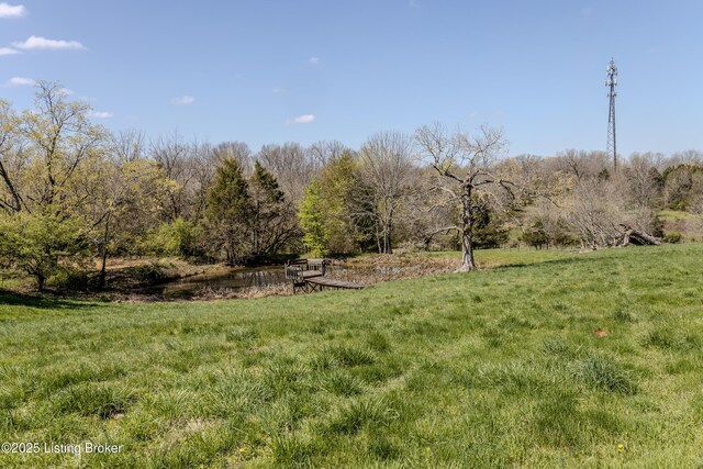 1110 Clark Station Rd, Fisherville, KY 40023 - view of yard