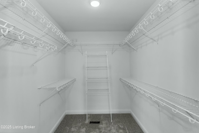 382 Williamsburg Dr, Mt Washington, KY 40047 - spacious closet featuring carpet flooring