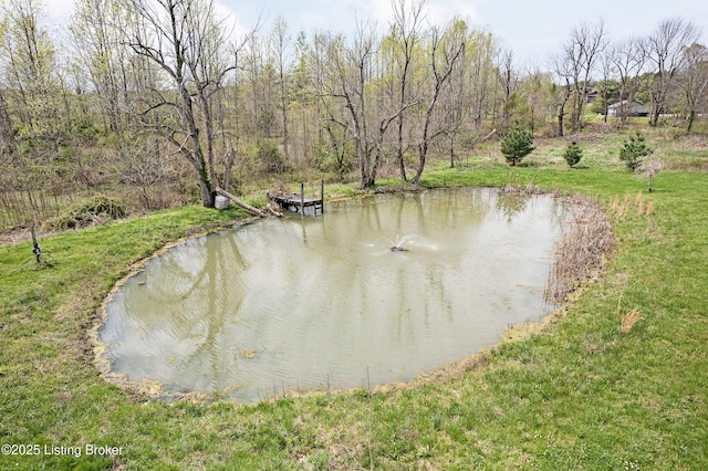 view of water feature