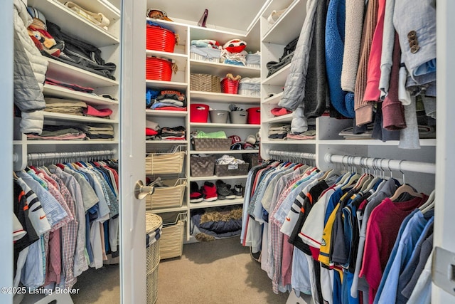 4232 Ashleywood Ct, Louisville, KY 40241 - spacious closet featuring carpet floors