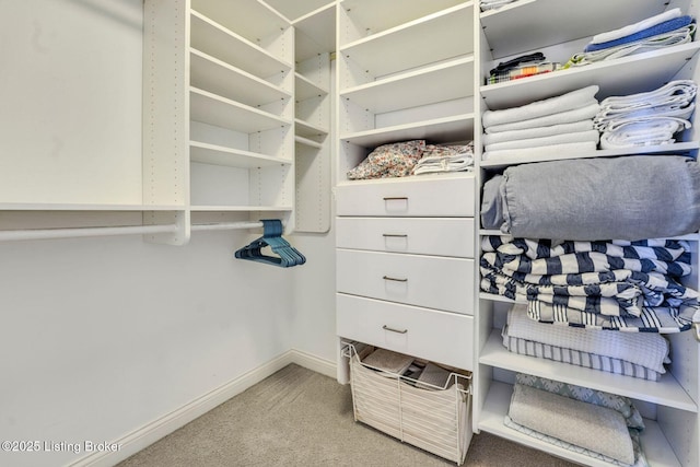 4232 Ashleywood Ct, Louisville, KY 40241 - spacious closet featuring light carpet