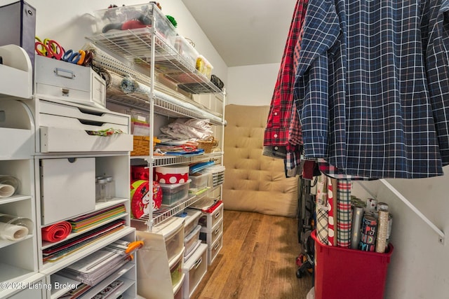 4232 Ashleywood Ct, Louisville, KY 40241 - walk in closet with wood finished floors