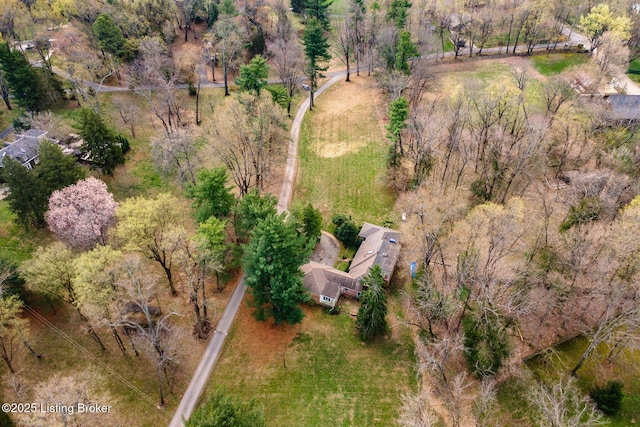 aerial view