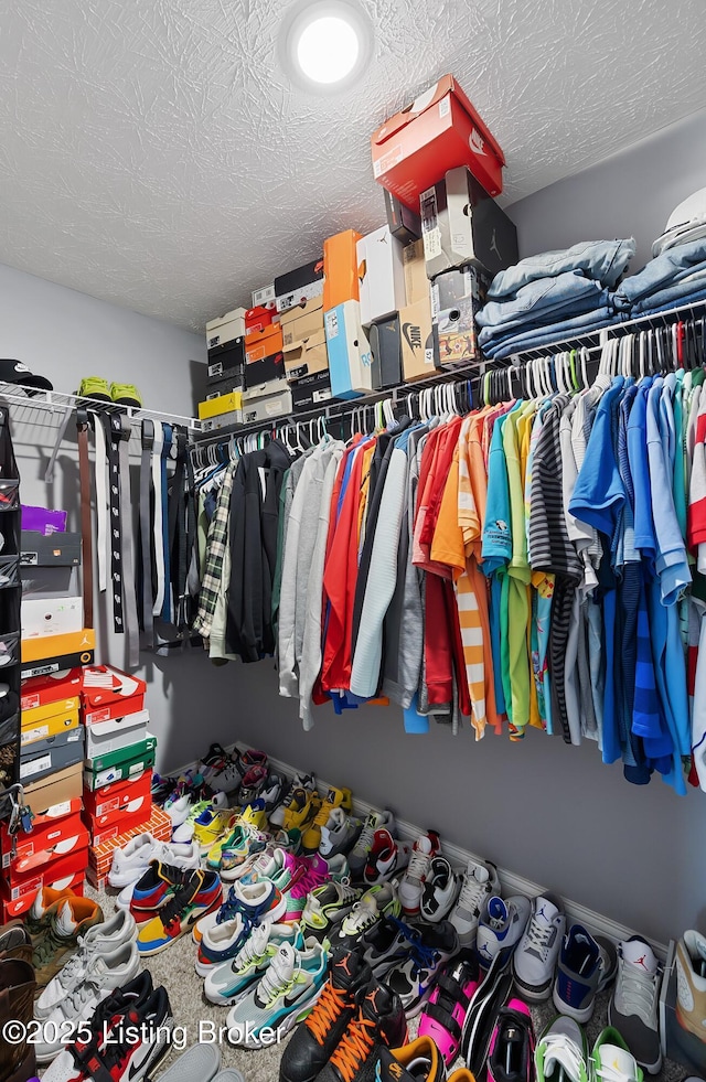 view of spacious closet