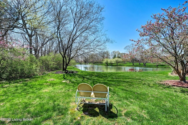 view of yard with a water view
