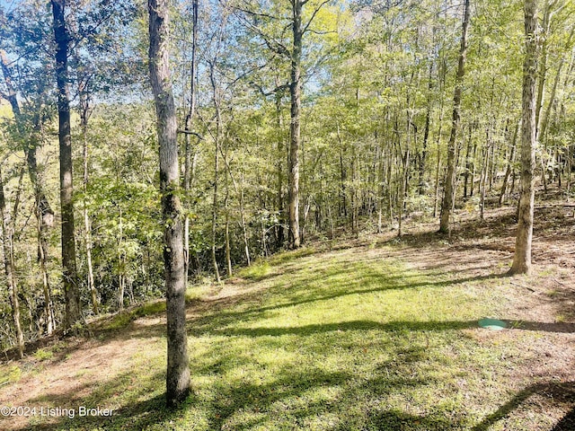 132 Cherry Ln, Leitchfield, KY 42754 - view of yard featuring a forest view