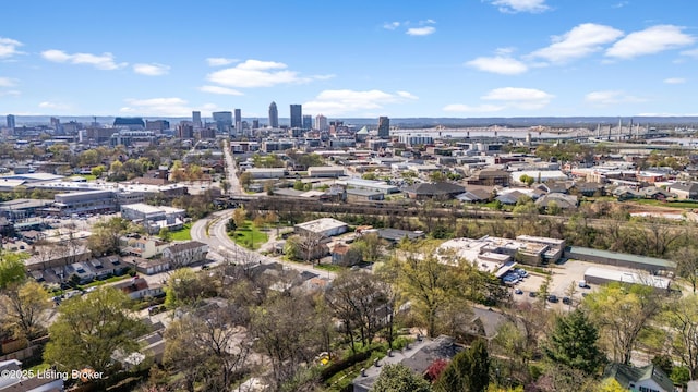 bird's eye view with a city view