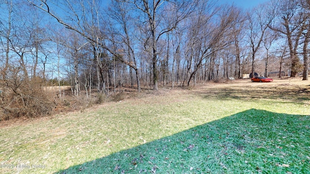 374 W Rhudes Creek Rd, Glendale, KY 42740 - photo 28