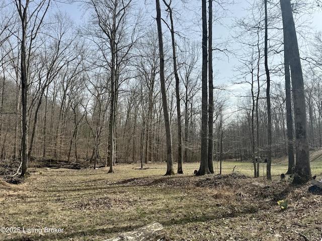 394 Briarwood Dr, Leitchfield, KY 42754 - photo 12