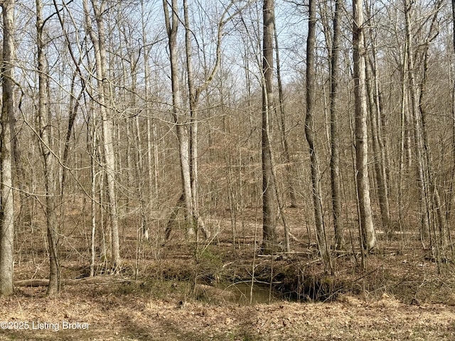 394 Briarwood Dr, Leitchfield, KY 42754 - photo 10