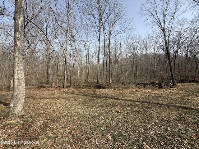 394 Briarwood Dr, Leitchfield, KY 42754 - photo 11
