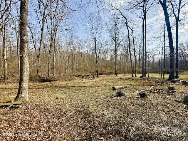 394 Briarwood Dr, Leitchfield, KY 42754 - photo 6