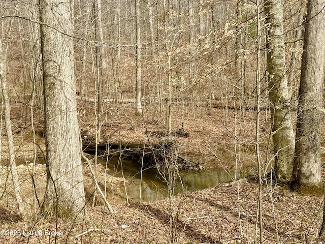 394 Briarwood Dr, Leitchfield, KY 42754 - photo 13