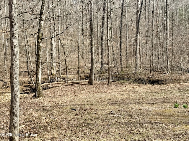394 Briarwood Dr, Leitchfield, KY 42754 - photo 14