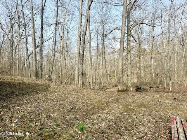 394 Briarwood Dr, Leitchfield, KY 42754 - photo 5