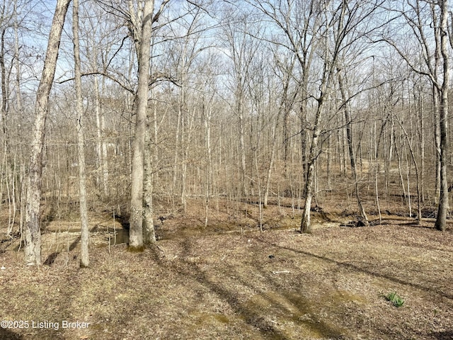 394 Briarwood Dr, Leitchfield, KY 42754 - photo 16
