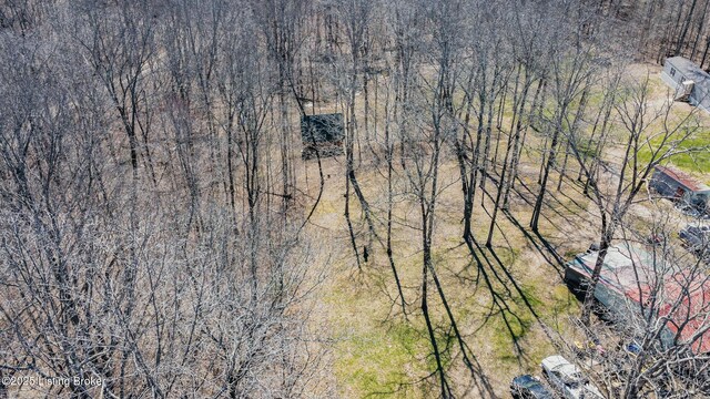 394 Briarwood Dr, Leitchfield, KY 42754 - photo 24